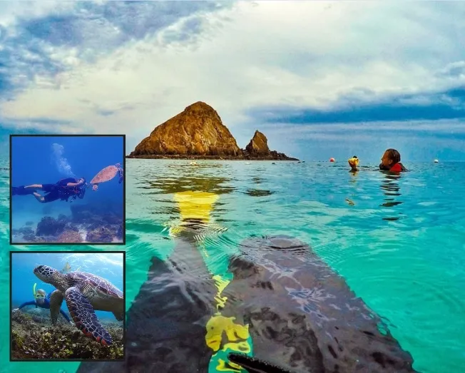 Snoopy Island Snorkeling Tour